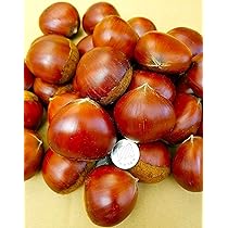 茨城県産生栗 約10k Amazon.co.jp: 【茨城県産】大粒 栗 生栗 2L-3L 大粒 約1kg 虫